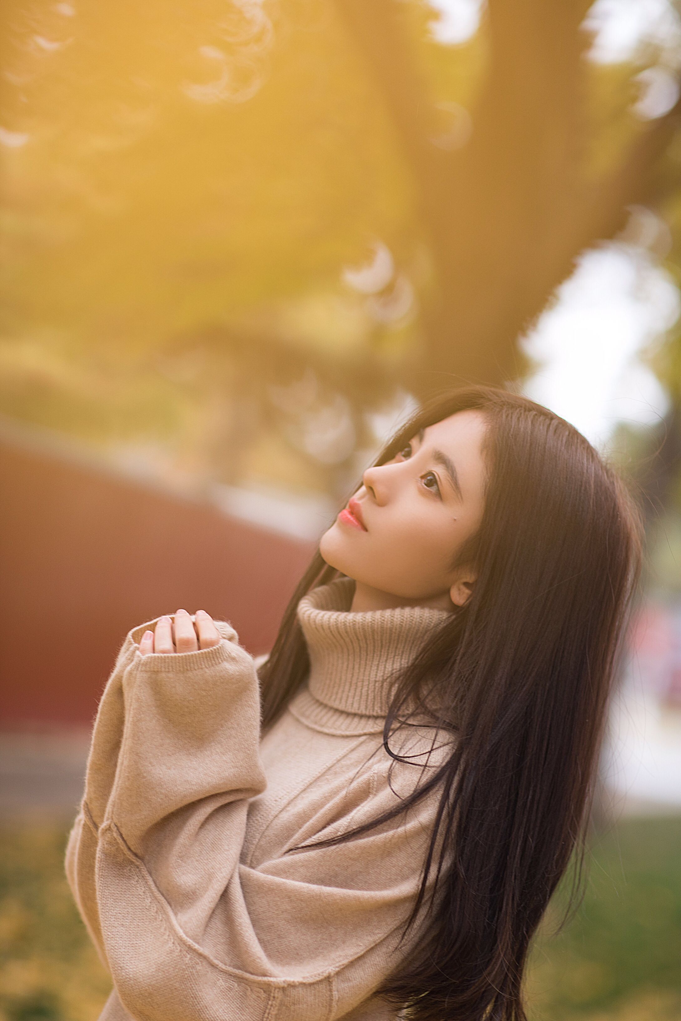 Tử vi hàng ngày hôm nay 3/2 của 12 con giáp: Ngọ tài lộc cải thiện, Mùi tình duyên suôn sẻ - Ảnh 2.