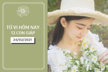 Tử vi hàng ngày hôm nay 24/2 của 12 con giáp: Tý tài chính thuận lợi, Sửu nên xem xét chuyện tình cảm