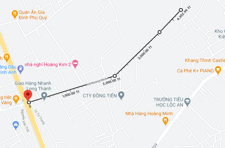 Giá đất ở tại đô thị đường Lê Quang Định, Long Thành, Đồng Nai - Ảnh 1.