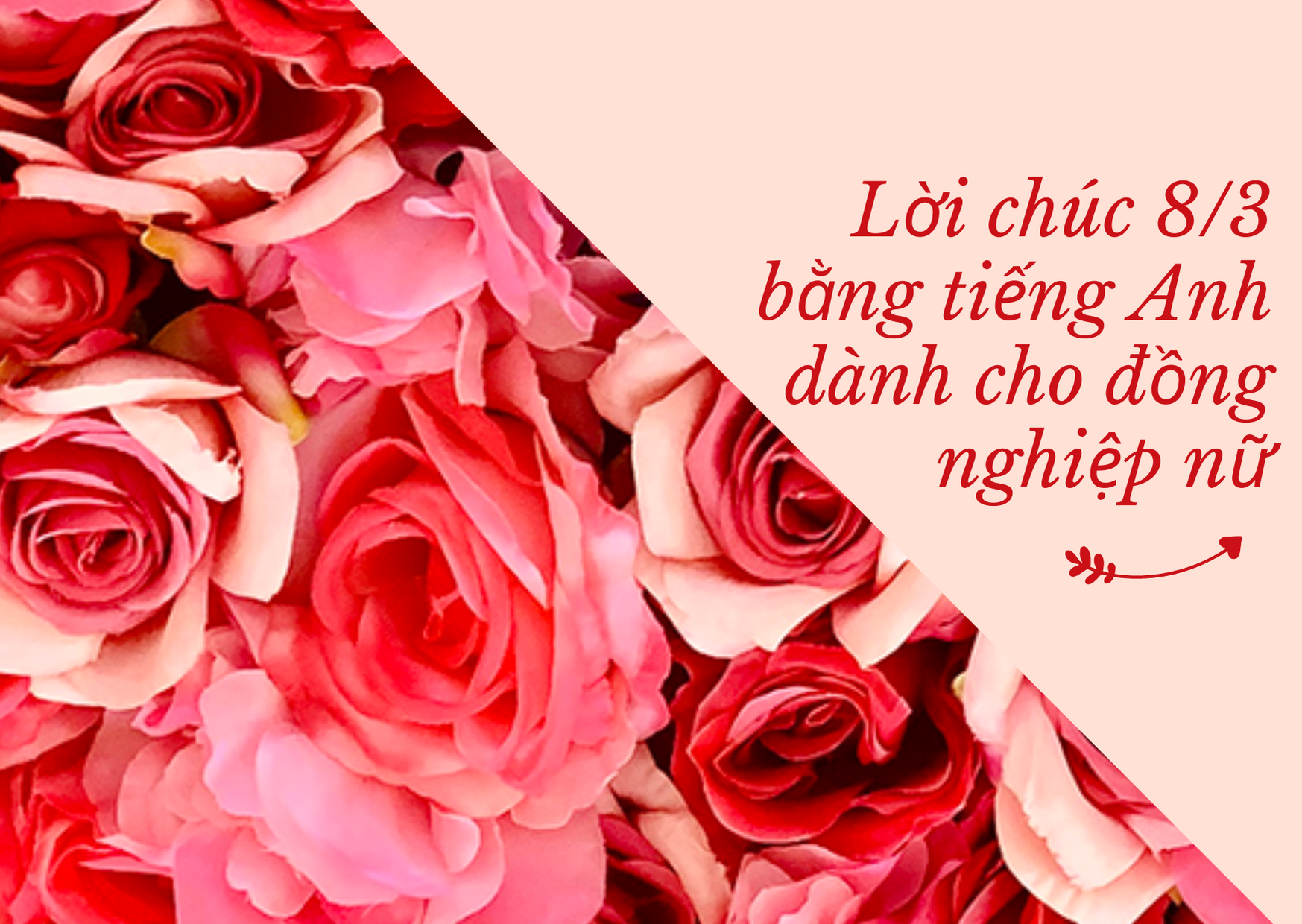 Dịp 8/3, gửi đến người phụ nữ thân yêu những lời chúc độc đáo và ý nghĩa bằng tiếng Anh - Ảnh 3.