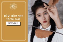 Tử vi hàng ngày hôm nay 1/3 của 12 con giáp: Tuất tình cảm rộng mở, Hợi tài chính phát đạt