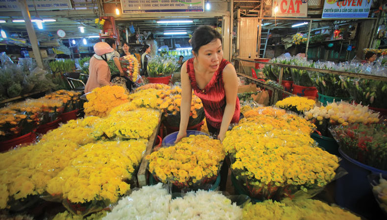 Những loại hoa, cây cảnh nên để trong nhà ngày Tết giúp mang đến may mắn và tài lộc - Ảnh 15. Những loại hoa, cây cảnh nên để trong nhà ngày Tết giúp mang đến may mắn và tài lộc - Ảnh 15.