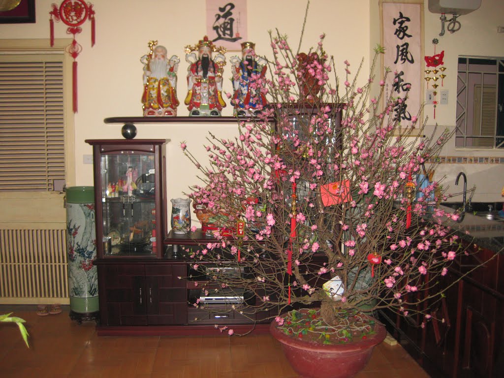 Những loại hoa, cây cảnh nên để trong nhà ngày Tết giúp mang đến may mắn và tài lộc - Ảnh 1. Những loại hoa, cây cảnh nên để trong nhà ngày Tết giúp mang đến may mắn và tài lộc - Ảnh 1.