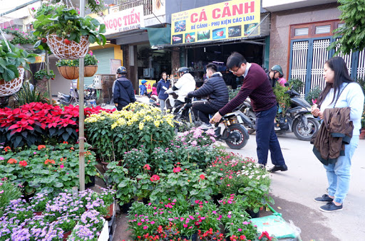 Những loại hoa, cây cảnh nên để trong nhà ngày Tết giúp mang đến may mắn và tài lộc - Ảnh 11. Những loại hoa, cây cảnh nên để trong nhà ngày Tết giúp mang đến may mắn và tài lộc - Ảnh 11.