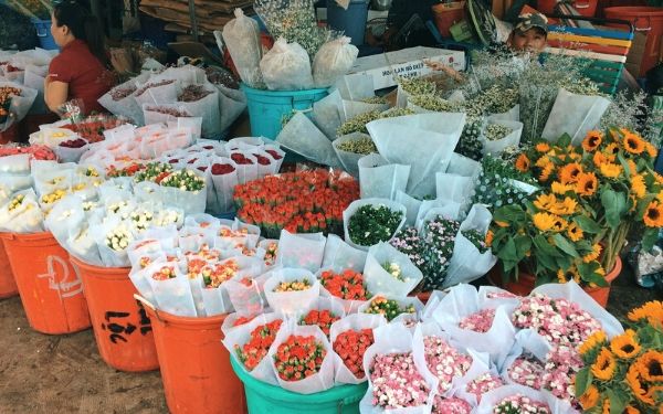 Những loại hoa, cây cảnh nên để trong nhà ngày Tết giúp mang đến may mắn và tài lộc - Ảnh 13. Những loại hoa, cây cảnh nên để trong nhà ngày Tết giúp mang đến may mắn và tài lộc - Ảnh 13.