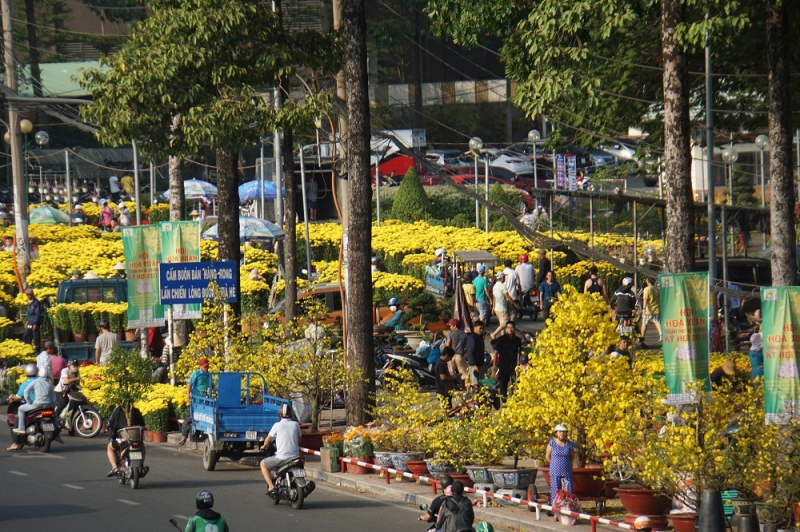 Những loại hoa, cây cảnh nên để trong nhà ngày Tết giúp mang đến may mắn và tài lộc - Ảnh 14. Những loại hoa, cây cảnh nên để trong nhà ngày Tết giúp mang đến may mắn và tài lộc - Ảnh 14.