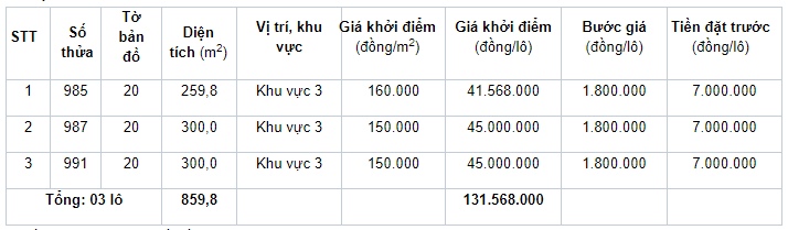 Đấu giá quyền sử dụng 21 lô đất ở tại huyện Phong Điền, tỉnh Thừa Thiên Huế - Ảnh 3. Đấu giá quyền sử dụng 21 lô đất ở tại huyện Phong Điền, tỉnh Thừa Thiên Huế - Ảnh 3.