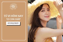 Tử vi hàng ngày hôm nay 7/2 của 12 con giáp: Dần thận trọng chuyện đi lại, Mão tài lộc ổn định