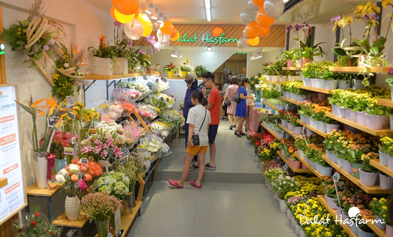Mua hoa gì ngày Tết: 5 loại hoa chưng phổ biến nhất dịp đầu năm - Ảnh 9. Mua hoa gì ngày Tết: 5 loại hoa chưng phổ biến nhất dịp đầu năm - Ảnh 9.