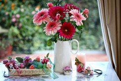 Mua hoa gì ngày Tết: 5 loại hoa chưng phổ biến nhất dịp đầu năm
