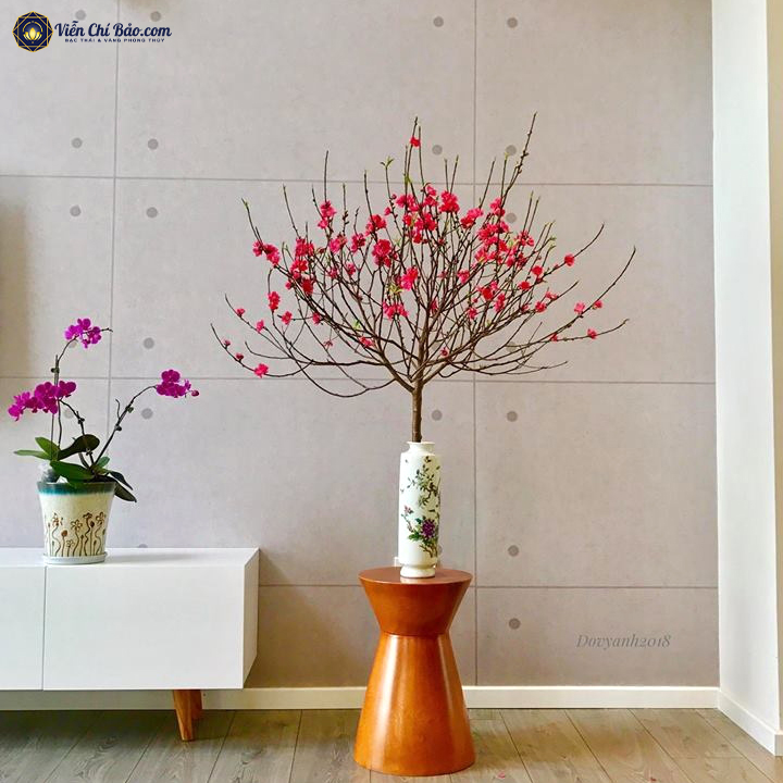 Mách bạn 5 cách cắm hoa đẹp mắt trong ngày Tết trên bàn thờ - Ảnh 1. Mách bạn 5 cách cắm hoa đẹp mắt trong ngày Tết trên bàn thờ - Ảnh 1.