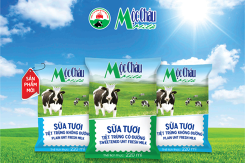 Mộc Châu Milk sẽ tăng vốn lên 1.100 tỷ đồng, kế hoạch lãi kỷ lục trong năm 2021