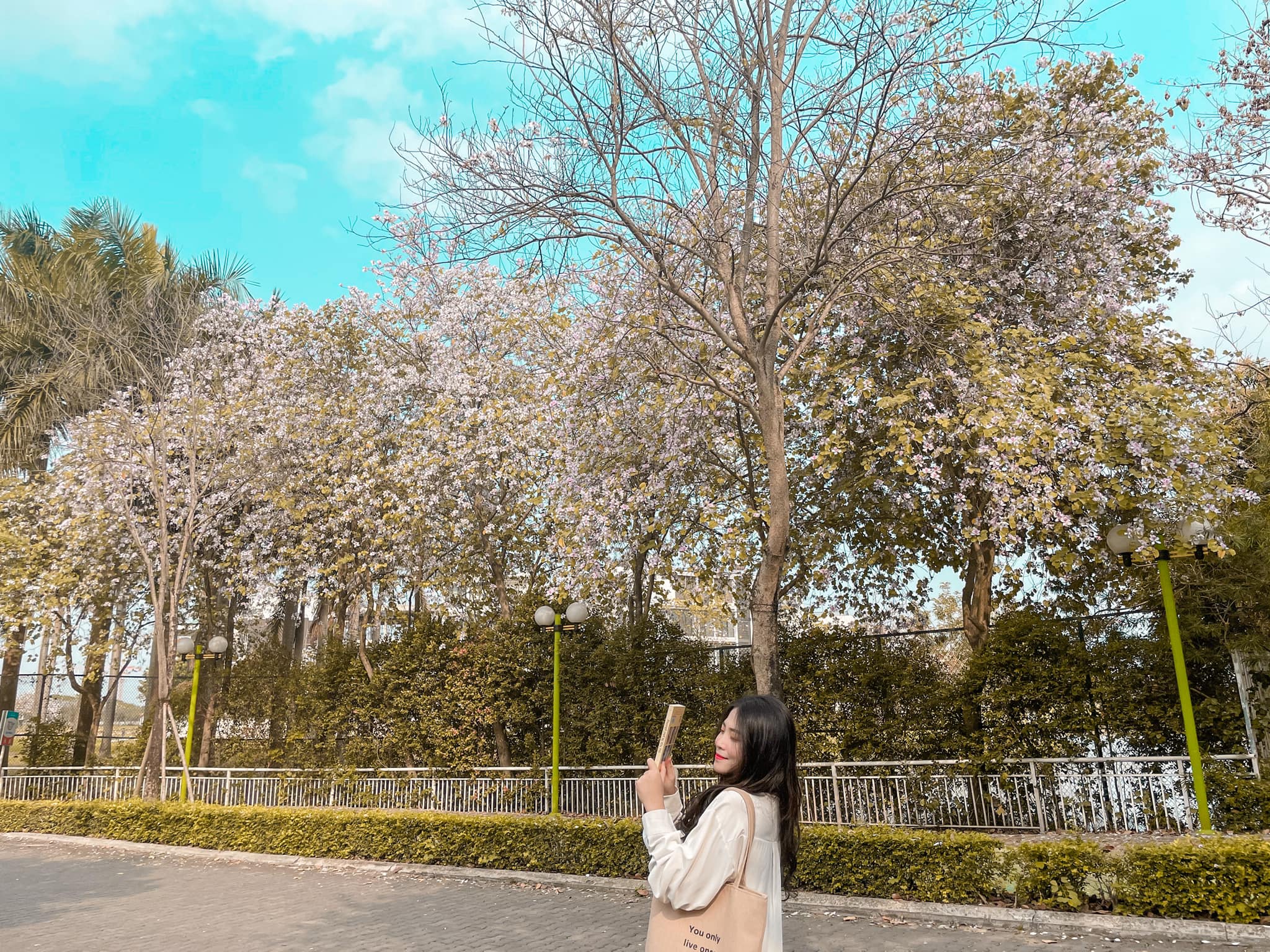 8/3 đi chơi ở đâu? Bật mí những địa điểm hẹn hò lãng mạn cho các cặp đôi tại Hà Nội - Ảnh 2. 8/3 đi chơi ở đâu? Bật mí những địa điểm hẹn hò lãng mạn cho các cặp đôi tại Hà Nội - Ảnh 2.