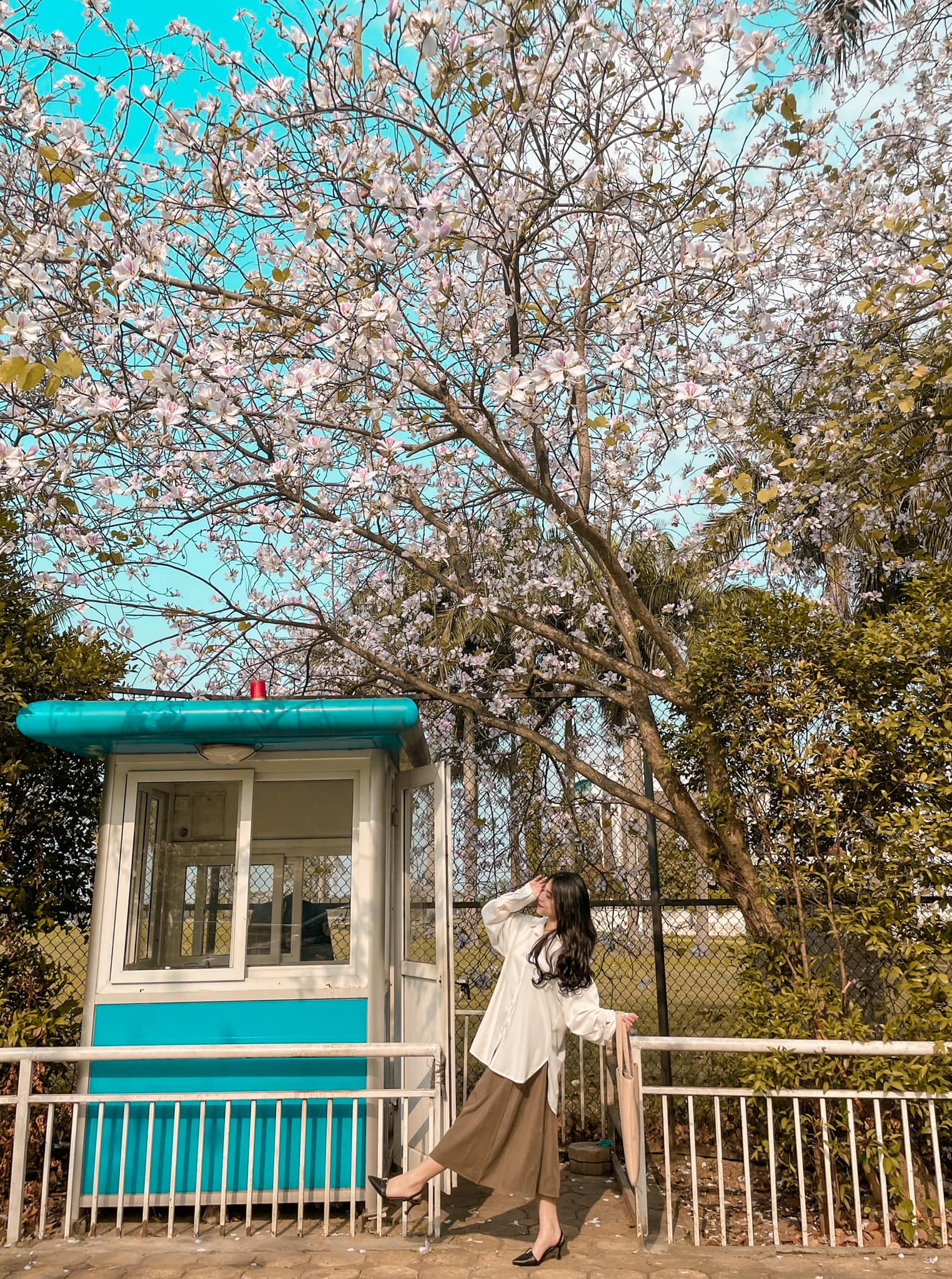 8/3 đi chơi ở đâu? Bật mí những địa điểm hẹn hò lãng mạn cho các cặp đôi tại Hà Nội - Ảnh 1. 8/3 đi chơi ở đâu? Bật mí những địa điểm hẹn hò lãng mạn cho các cặp đôi tại Hà Nội - Ảnh 1.