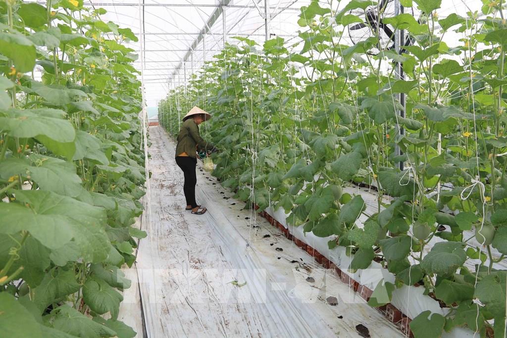 Trà Vinh kêu gọi nhiều dự án đầu tư - Ảnh 1. Trà Vinh kêu gọi nhiều dự án đầu tư - Ảnh 1.