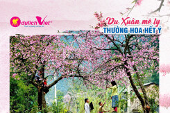 Chi tiết chương trình khuyến mãi của các công ty du lịch trong tháng 3 này