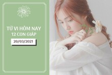 Tử vi hàng ngày hôm nay 20/3 của 12 con giáp: Tý tài lộc khởi sắc, Sửu cẩn thận việc đi lại