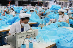 Lợi nhuận hai tháng đầu năm của TNG giảm 42%