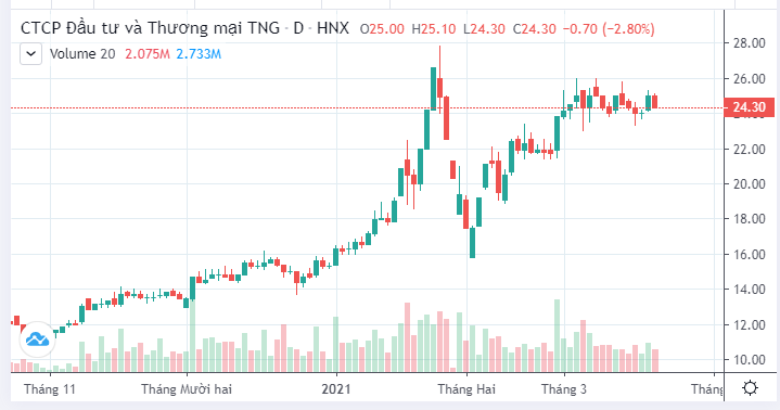Lợi nhuận của TNG lao dốc gần 77% trong tháng 2 - Ảnh 1.