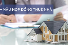 Tham khảo các mẫu hợp đồng thuê nhà đơn giản, cập nhật nhất
