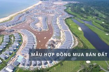 Tham khảo các mẫu hợp đồng mua bán đất đầy đủ, mới nhất