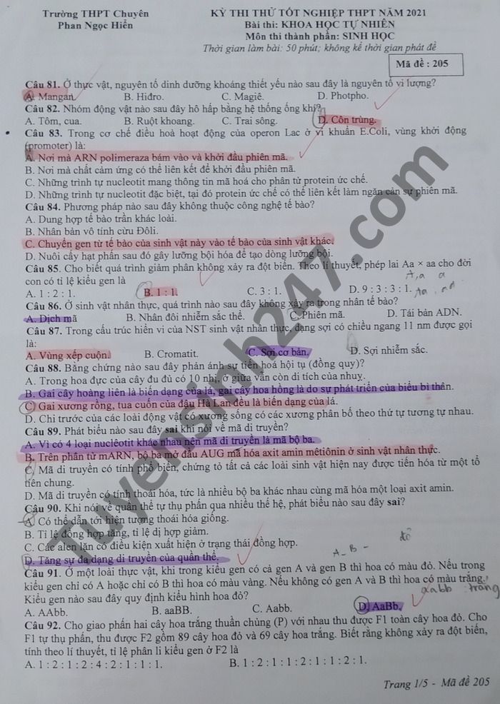 Đề thi thử THPT quốc gia 2021 môn Sinh học trường THPT Phan Ngọc Hiển (có đáp án chi tiết) - Ảnh 1. Đề thi thử THPT quốc gia 2021 môn Sinh học trường THPT Phan Ngọc Hiển (có đáp án chi tiết) - Ảnh 1.