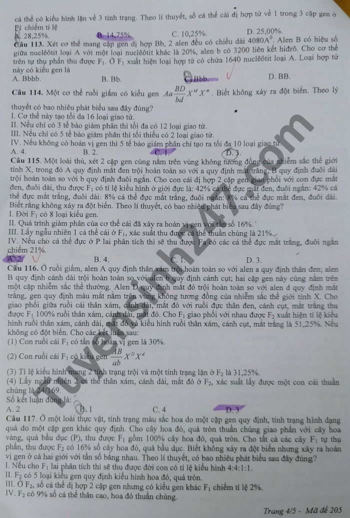 Đề thi thử THPT quốc gia 2021 môn Sinh học trường THPT Phan Ngọc Hiển (có đáp án chi tiết) - Ảnh 4. Đề thi thử THPT quốc gia 2021 môn Sinh học trường THPT Phan Ngọc Hiển (có đáp án chi tiết) - Ảnh 4.