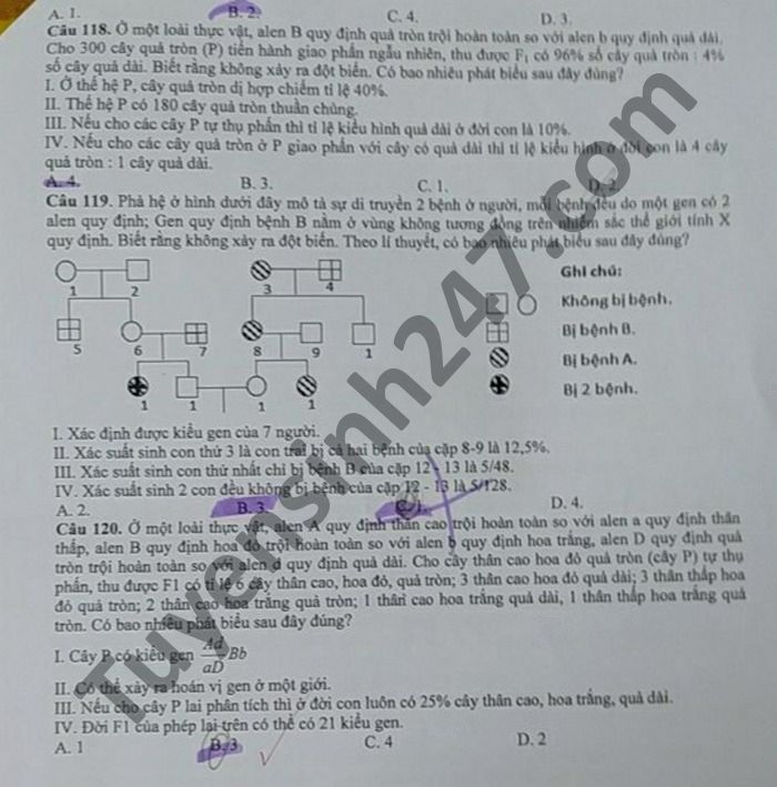 Đề thi thử THPT quốc gia 2021 môn Sinh học trường THPT Phan Ngọc Hiển (có đáp án chi tiết) - Ảnh 5. Đề thi thử THPT quốc gia 2021 môn Sinh học trường THPT Phan Ngọc Hiển (có đáp án chi tiết) - Ảnh 5.