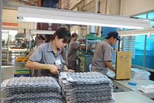 Cao su Thống Nhất (TNC) lên kế hoạch giảm lãi 54% trong năm 2021