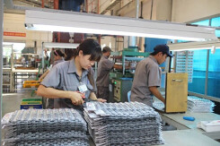 Cao su Thống Nhất (TNC) lên kế hoạch giảm lãi 54% trong năm 2021