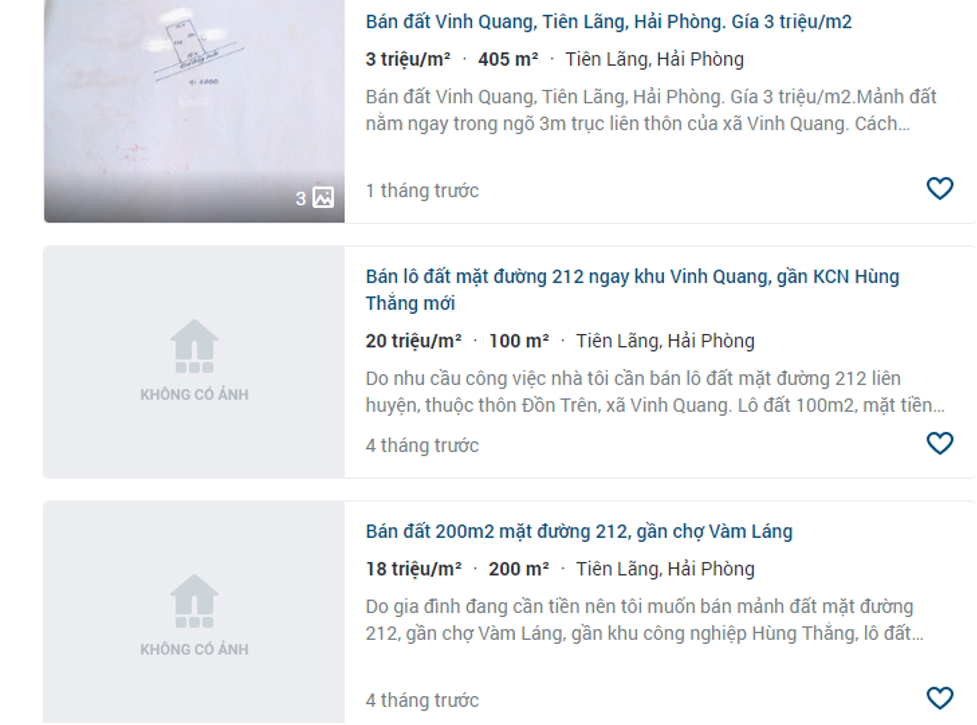 Giá đất 4 xã trong vùng quy hoạch sân bay Tiên Lãng, Hải Phòng - Ảnh 1.