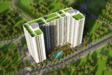 Dự án nhà ở xã hội 18.000 m2 tại Bình Định tìm nhà đầu tư