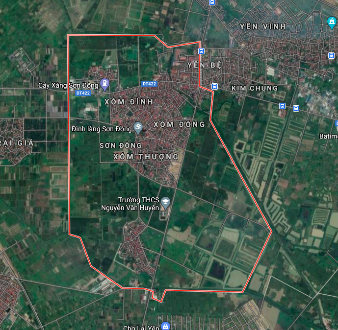 Kế hoạch sử dụng đất xã Sơn Đồng, Hoài Đức, Hà Nội năm 2021 - Ảnh 2.