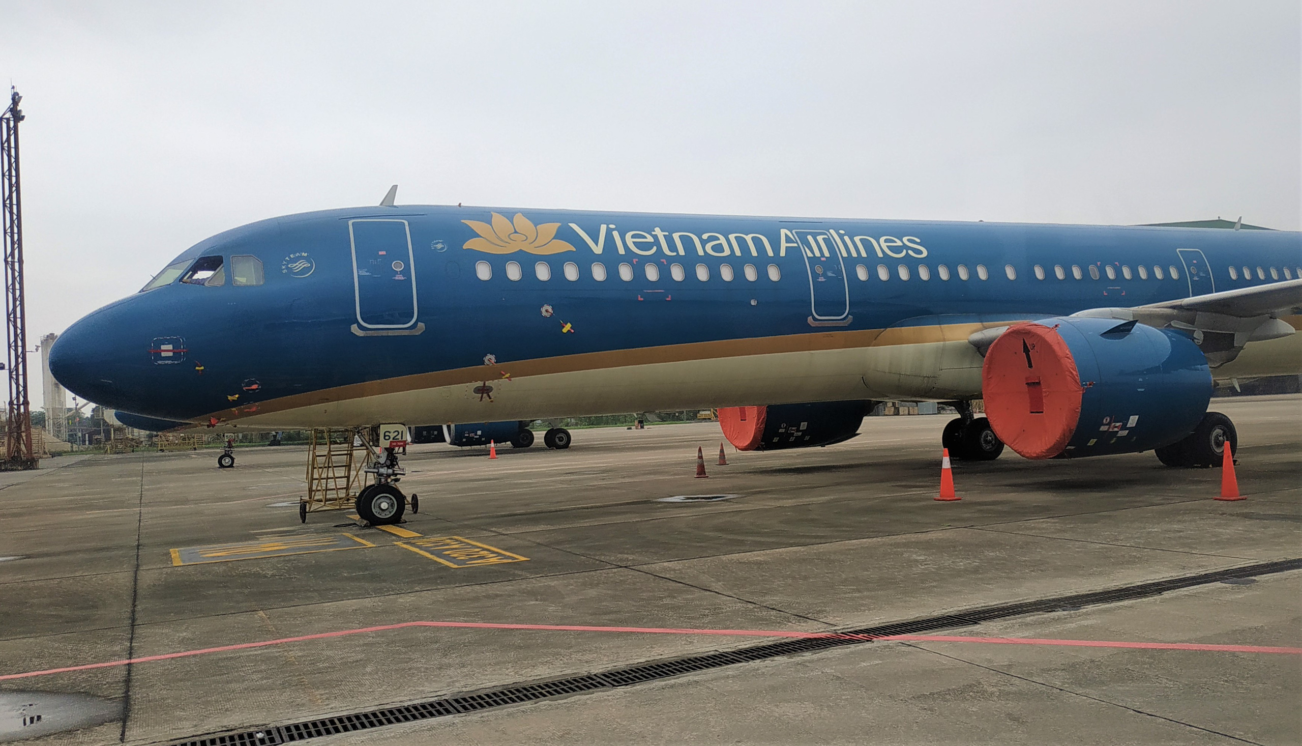 Tổng Giám đốc Pacific Airlines làm Phó TGĐ Vietnam Airlines - Ảnh 1. Tổng Giám đốc Pacific Airlines làm Phó TGĐ Vietnam Airlines - Ảnh 1.
