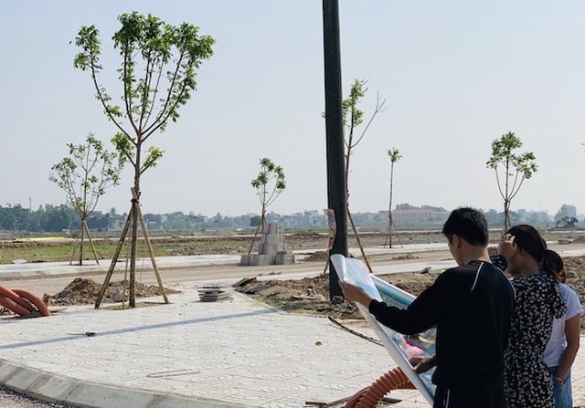 Bà Rịa - Vũng Tàu tạm dừng thực hiện thủ tục chuyển nhượng trên đất đồng sở hữu - Ảnh 1. Bà Rịa - Vũng Tàu tạm dừng thực hiện thủ tục chuyển nhượng trên đất đồng sở hữu - Ảnh 1.
