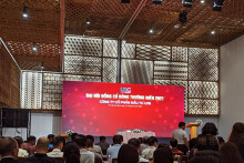 LDG Group chỉ lãi 308 triệu đồng trong quý I