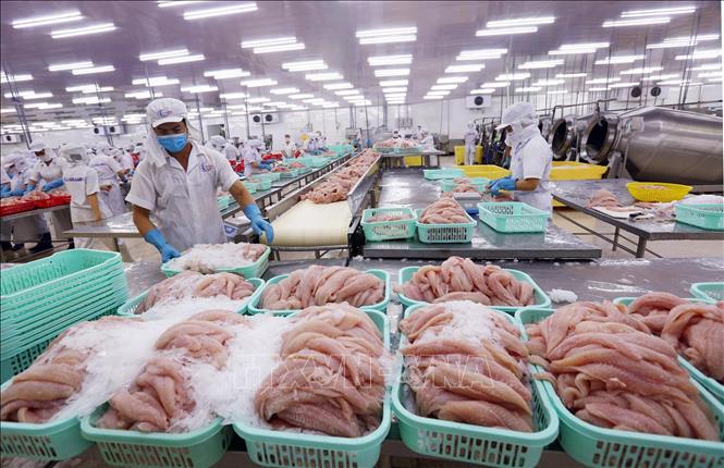 Ngân hàng kỳ vọng lợi nhuận tăng dù COVID-19 kéo dài - Ảnh 1. Ngân hàng kỳ vọng lợi nhuận tăng dù COVID-19 kéo dài - Ảnh 1.