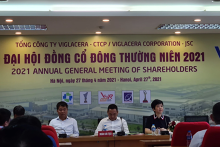 ĐHĐCĐ Viglacera: HĐQT có thêm người từ Gelex, Bộ Xây dựng dự kiến thoái hết vốn vào năm 2022
