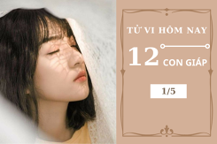 Tử vi hàng ngày hôm nay 1/5 của 12 con giáp: Tuổi Dần vượng phát trên mọi phương diện