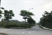 Thận trọng với sốt đất nền ven thành phố Vinh