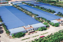 Công ty Phát triển Hạ tầng Vĩnh Phúc (IDV) báo lãi quý II tăng 18% dù doanh thu giảm mạnh