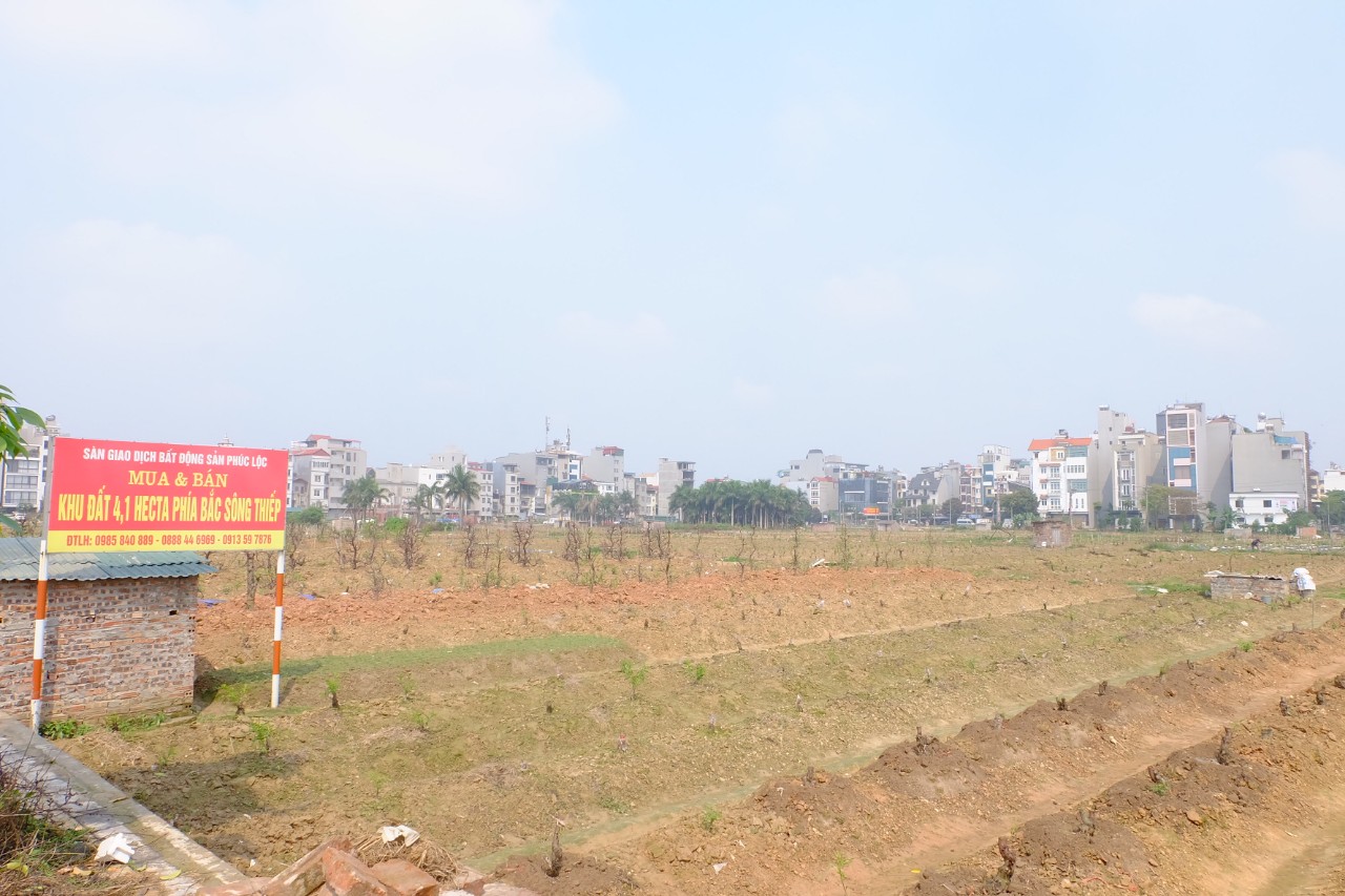 Phó Thủ tướng: Xử nghiêm các hành vi lợi dụng thông tin, đẩy giá bất động sản - Ảnh 1. Phó Thủ tướng: Xử nghiêm các hành vi lợi dụng thông tin, đẩy giá bất động sản - Ảnh 1.