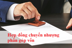 Tham khảo mẫu hợp đồng chuyển nhượng phần góp vốn mới và chuẩn xác nhất