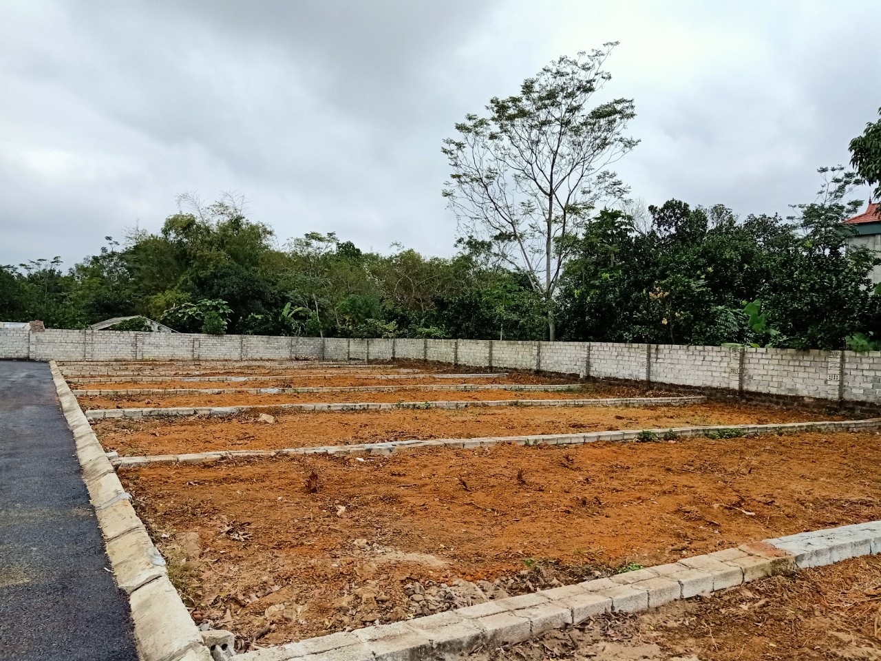 Sau cơn sốt, người ‘ô bom’, kẻ chờ mua đất nhưng giá không giảm - Ảnh 1. Sau cơn sốt, người ‘ô bom’, kẻ chờ mua đất nhưng giá không giảm - Ảnh 1.