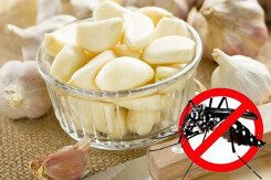 Gợi ý 5 cách làm phòng ngủ hết muỗi đơn giản và hiệu quả