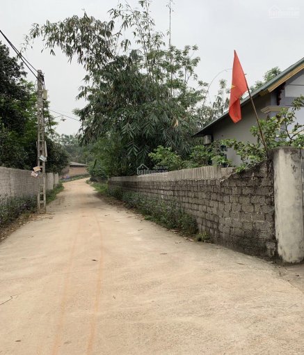 Kế hoạch sử dụng đất xã Cẩm Lĩnh, Ba Vì, Hà Nội năm 2021 - Ảnh 1. Kế hoạch sử dụng đất xã Cẩm Lĩnh, Ba Vì, Hà Nội năm 2021 - Ảnh 1.