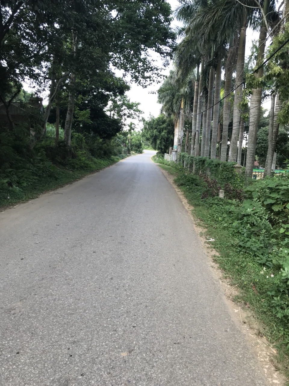 Kế hoạch sử dụng đất xã Vân Hoà, Ba Vì, Hà Nội năm 2021 - Ảnh 1. Kế hoạch sử dụng đất xã Vân Hoà, Ba Vì, Hà Nội năm 2021 - Ảnh 1.