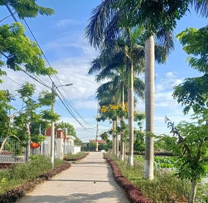 Kế hoạch sử dụng đất xã Hoà Lâm, Ứng Hoà, Hà Nội năm 2021 - Ảnh 1. Kế hoạch sử dụng đất xã Hoà Lâm, Ứng Hoà, Hà Nội năm 2021 - Ảnh 1.