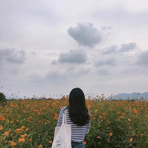 Tử vi hàng ngày hôm nay 19/5 của 12 con giáp: Sửu gặp nhiều may mắn, Mão cẩn thận hao tài - Ảnh 1. Tử vi hàng ngày hôm nay 19/5 của 12 con giáp: Sửu gặp nhiều may mắn, Mão cẩn thận hao tài - Ảnh 1.