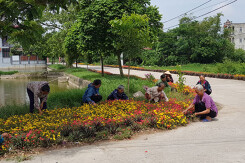 Kế hoạch sử dụng đất xã Trung Tú, Ứng Hoà, Hà Nội năm 2021
